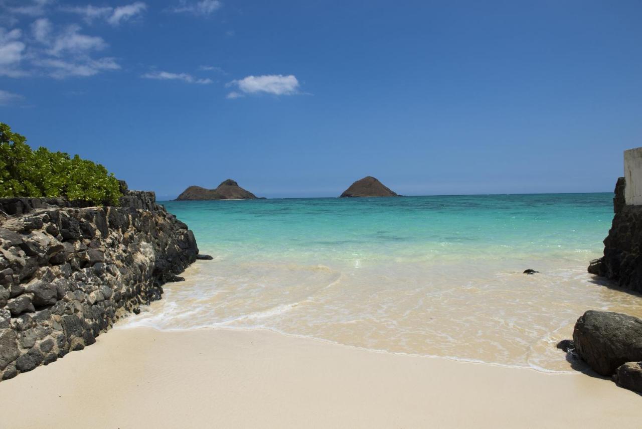 호놀룰루 Aqua Palms Waikiki Ocean View Lanai Parking Included 아파트 외부 사진